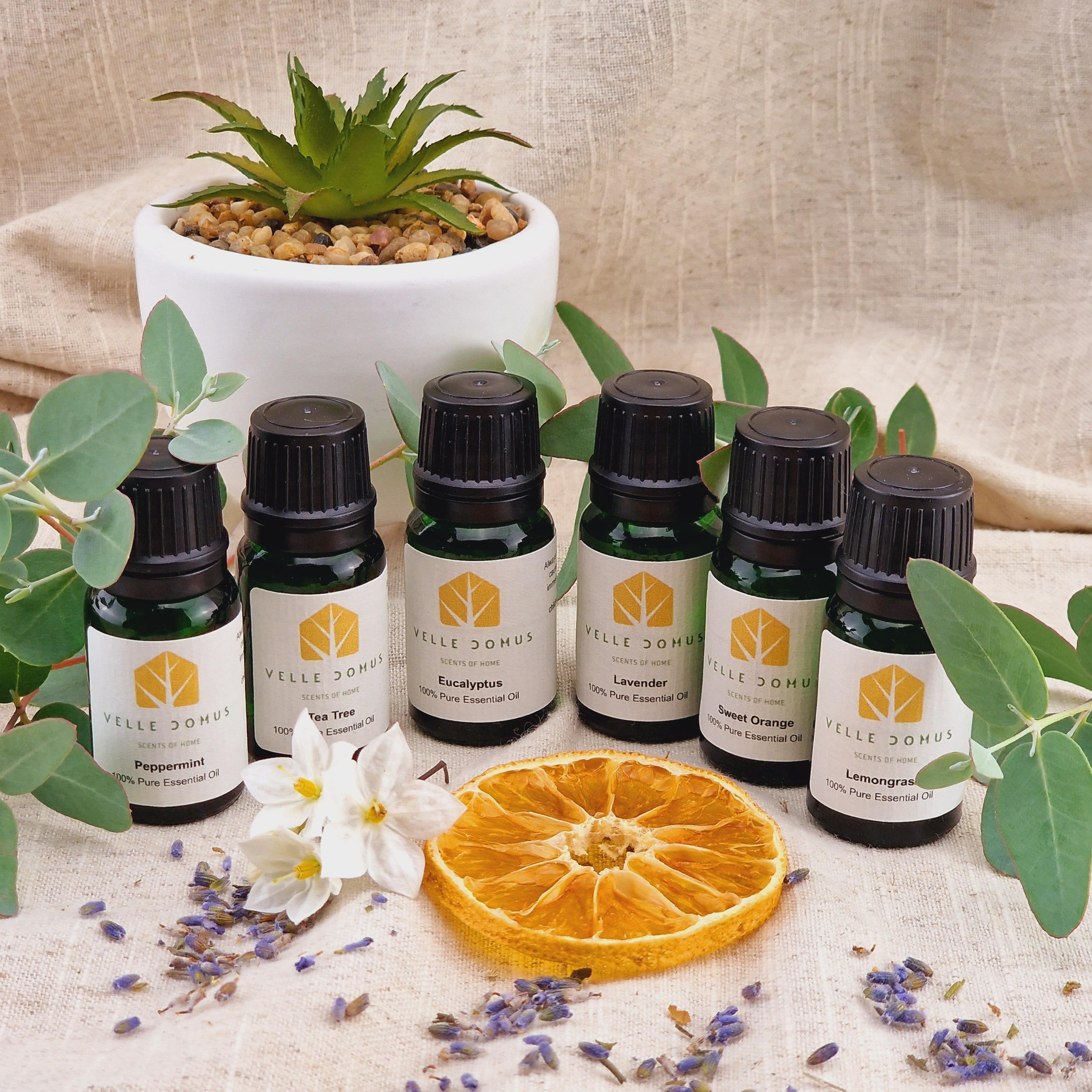 ESSENTIAL OIL SET